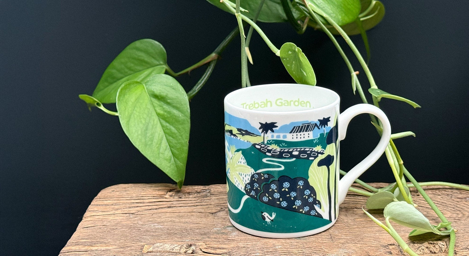 Bespoke mugs for Trebah Garden