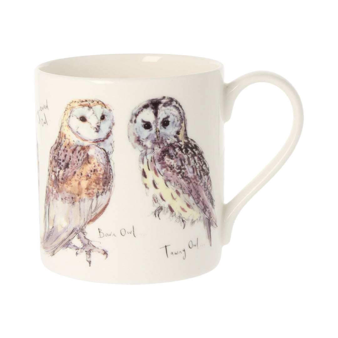 Five British Owls Mug