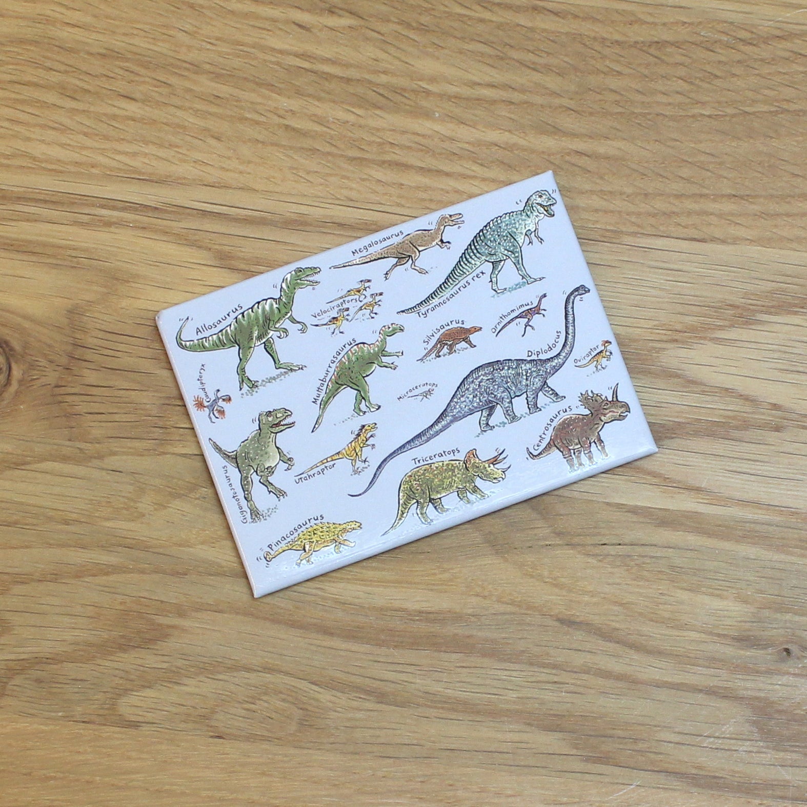 Dinosaurs Diplodocus Magnet