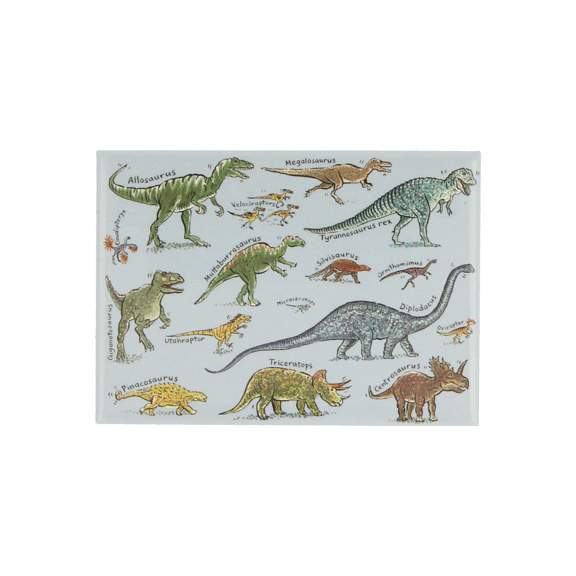 Dinosaurs Diplodocus Magnet