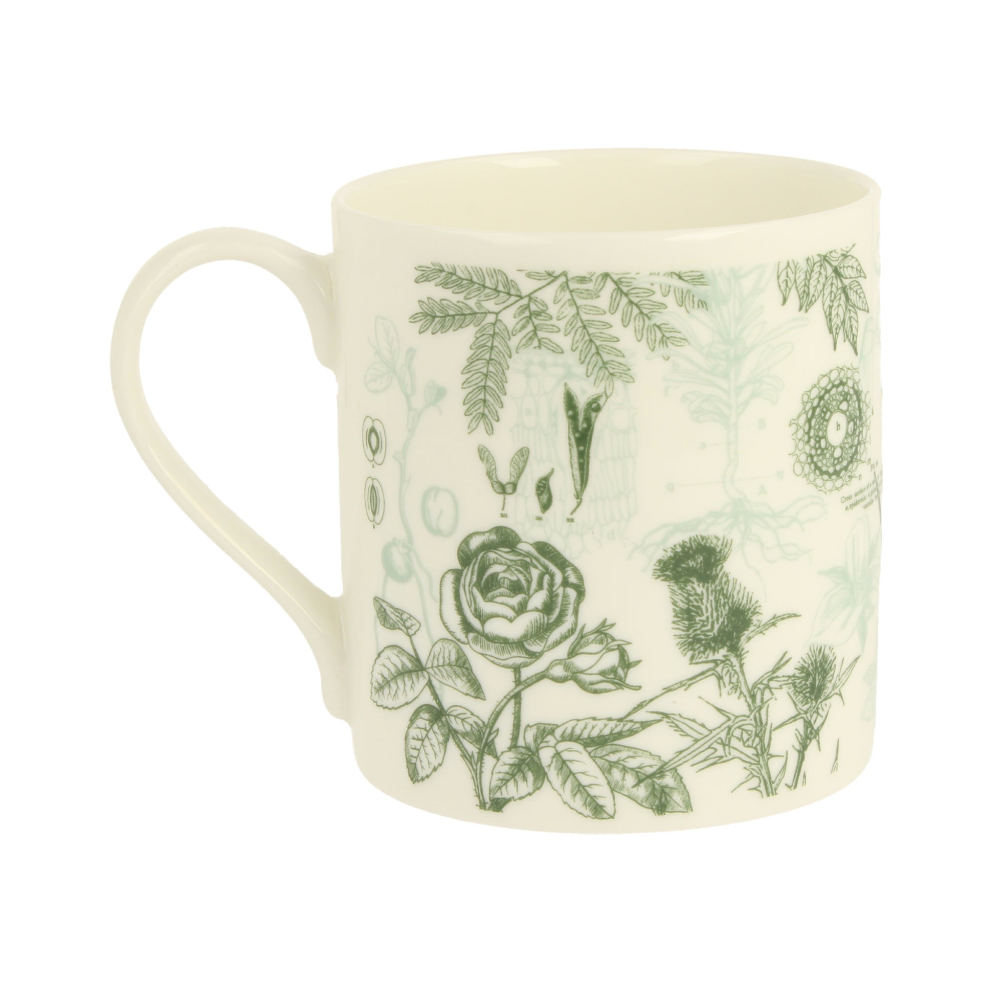 Botany Mug