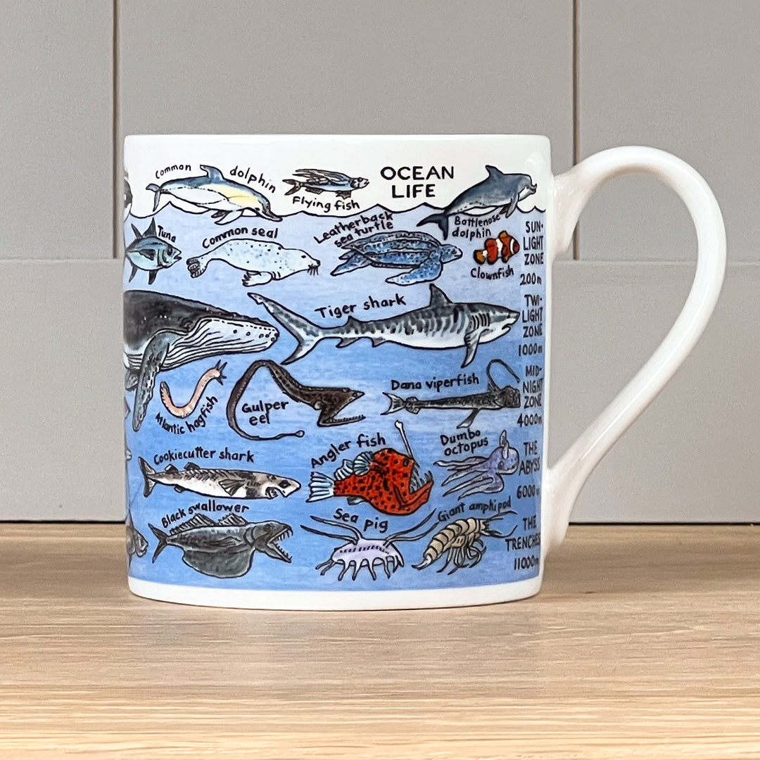 Ocean Life Mug