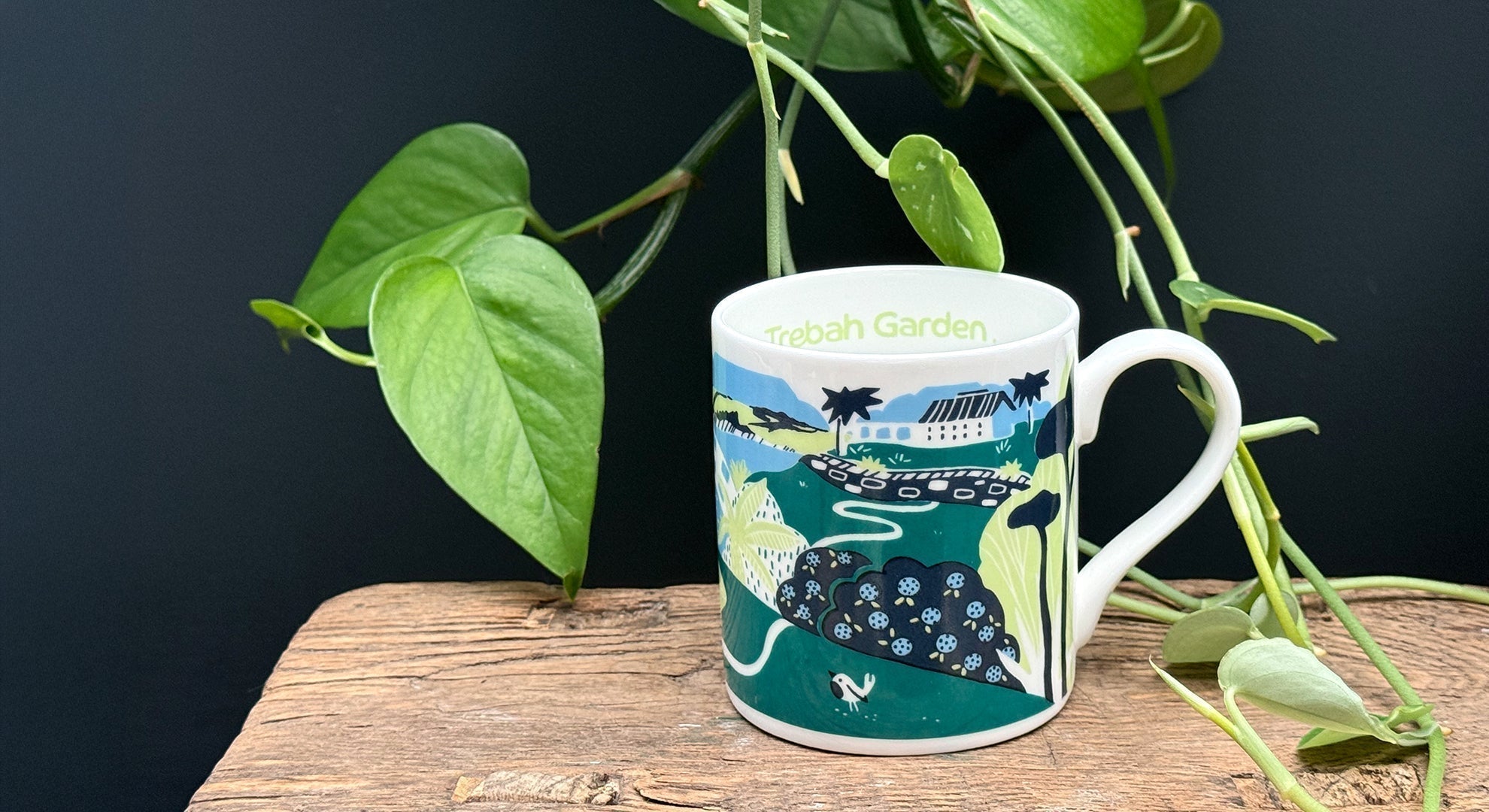 Bespoke mugs for Trebah Garden
