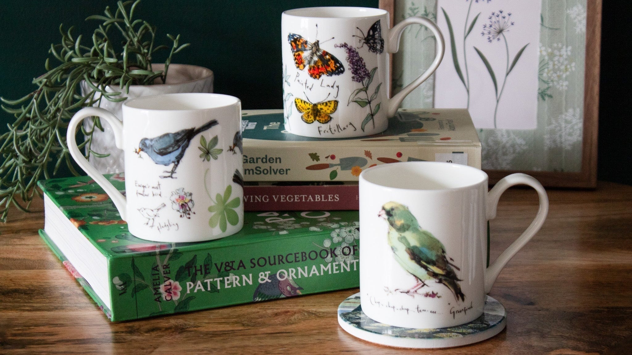 Birds, blooms, butterflies: Celebrate summer with Madeleine Floyd