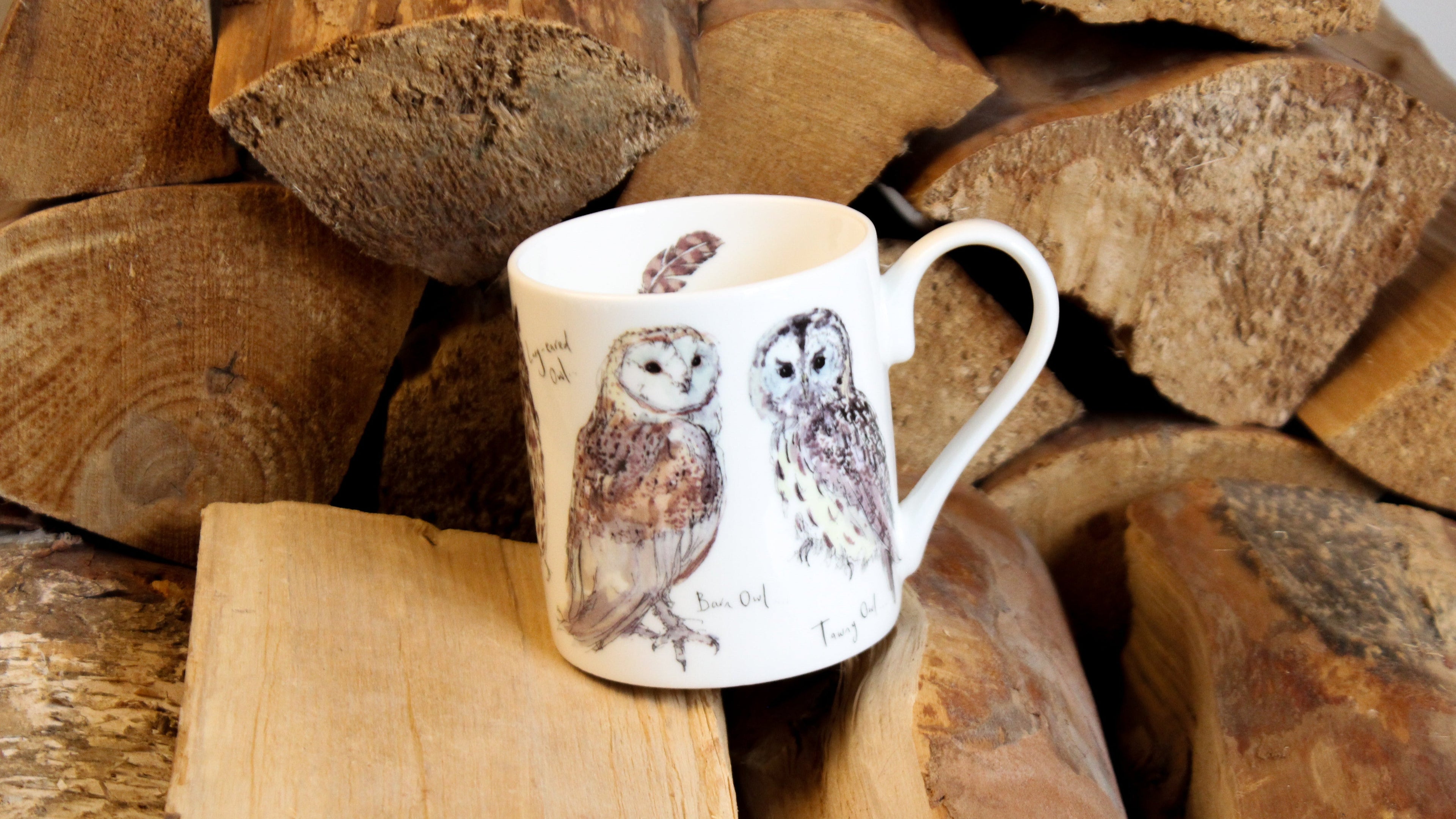 Owls