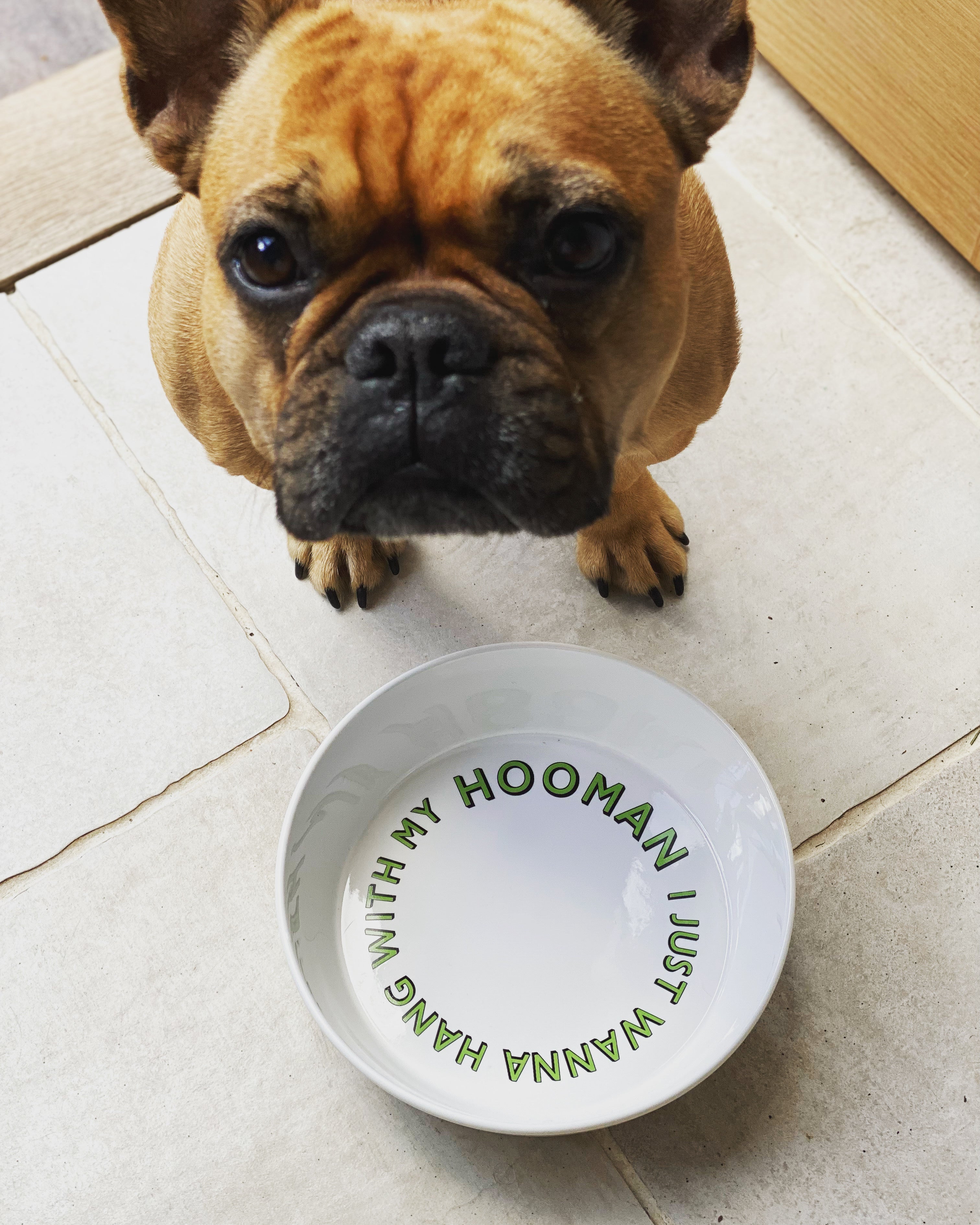 Pet bowls