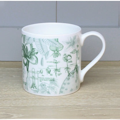 Botany Mug