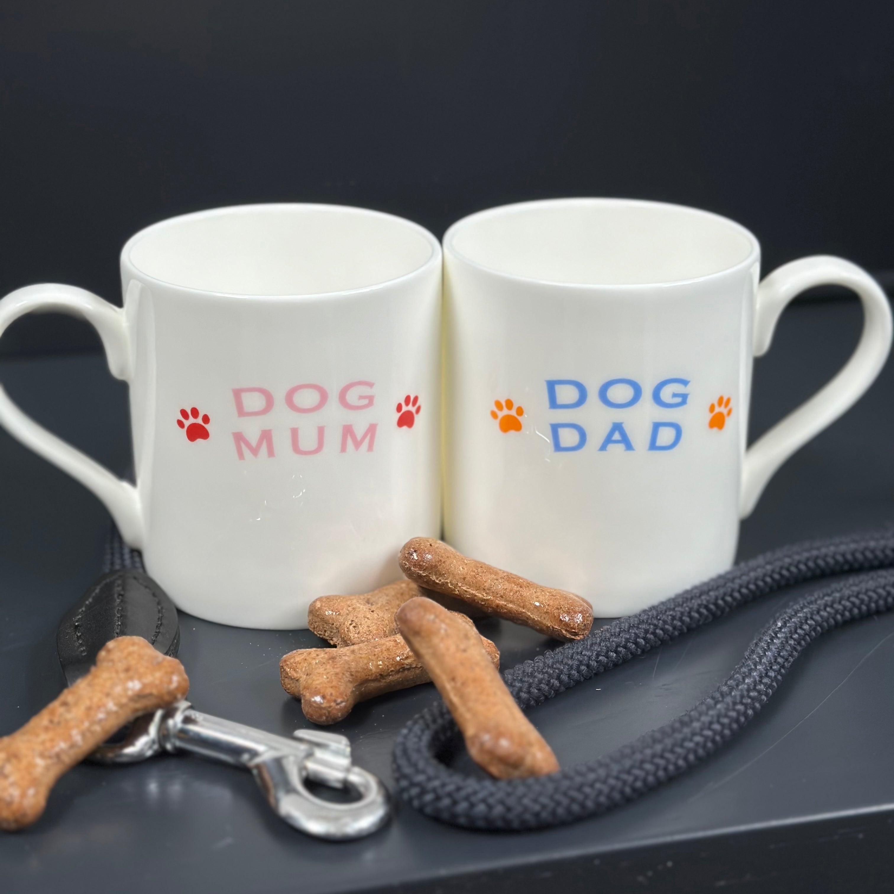 Dog Dad Mug