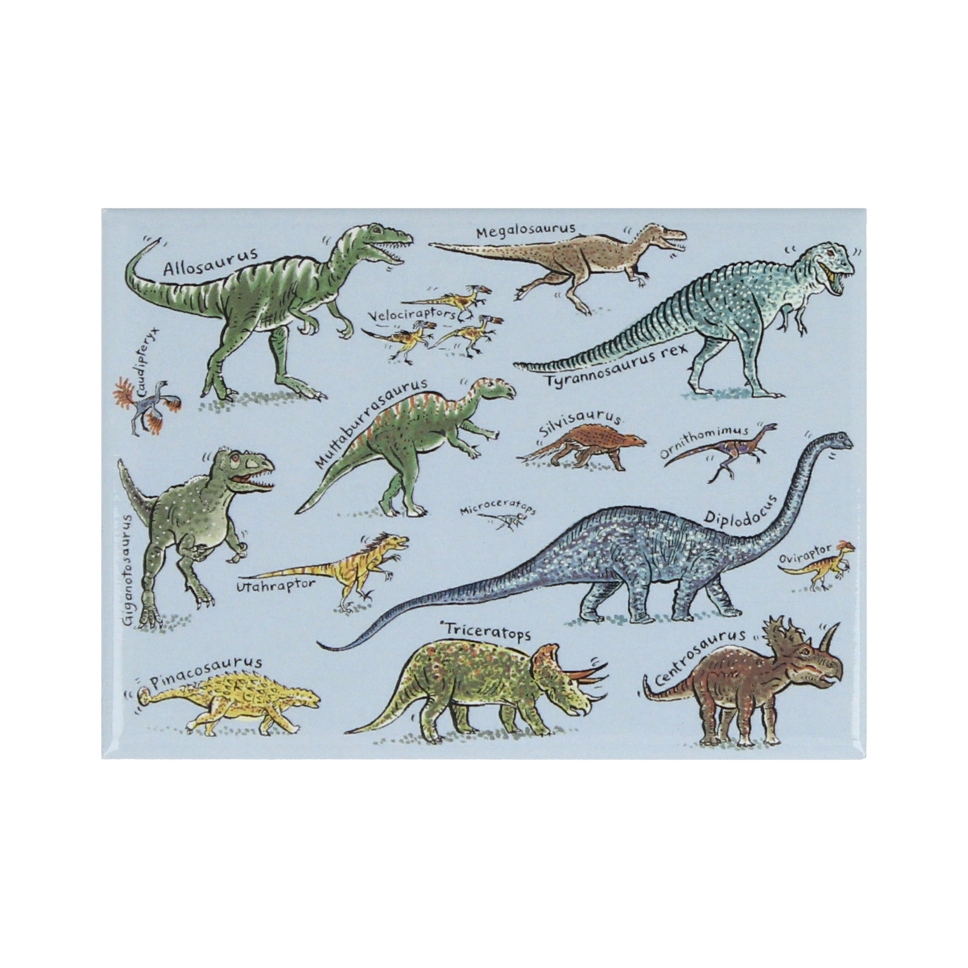 Dinosaurs Magnet Duo