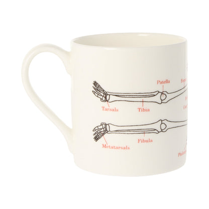 Human Skeleton Mug