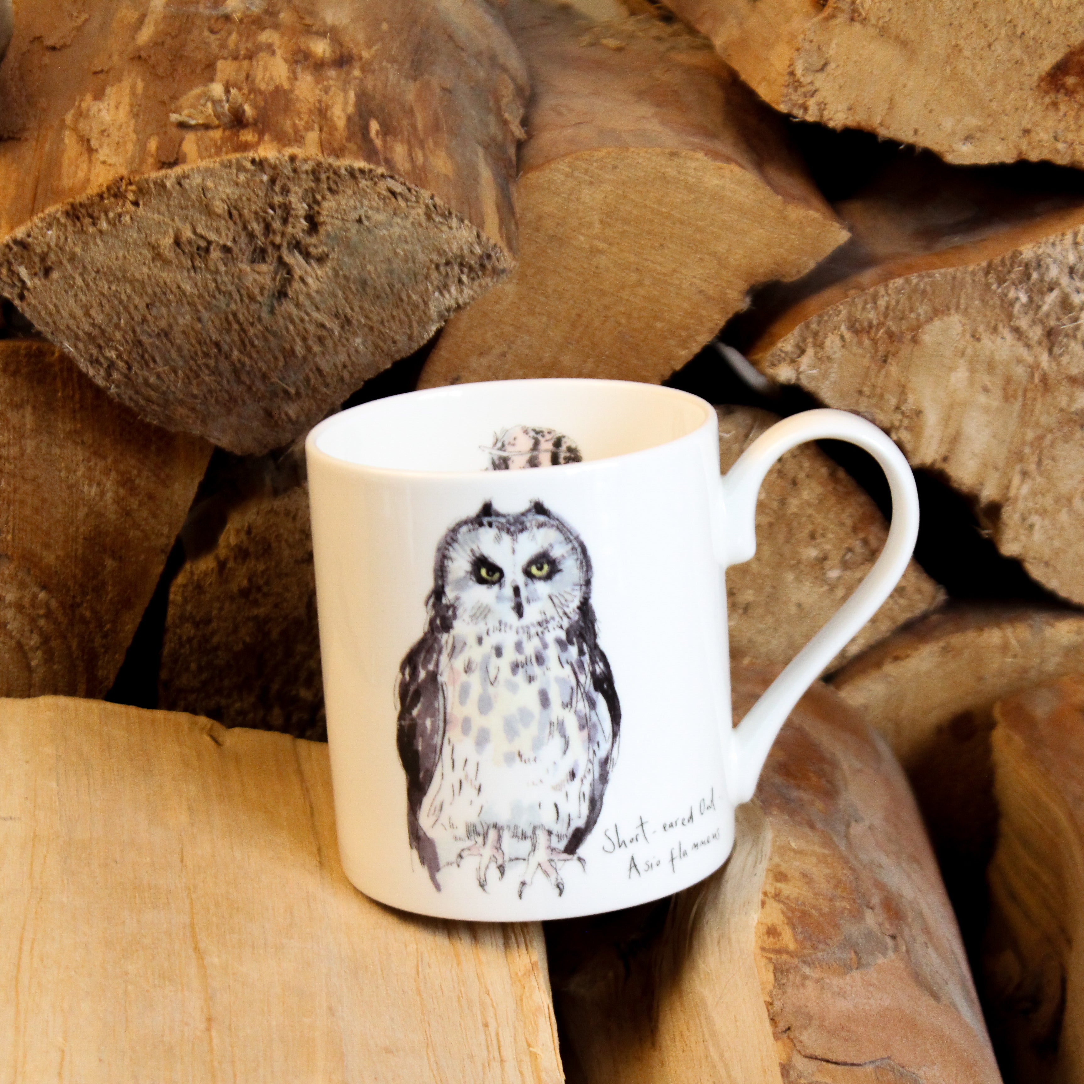 Short-Eared Owl Mug