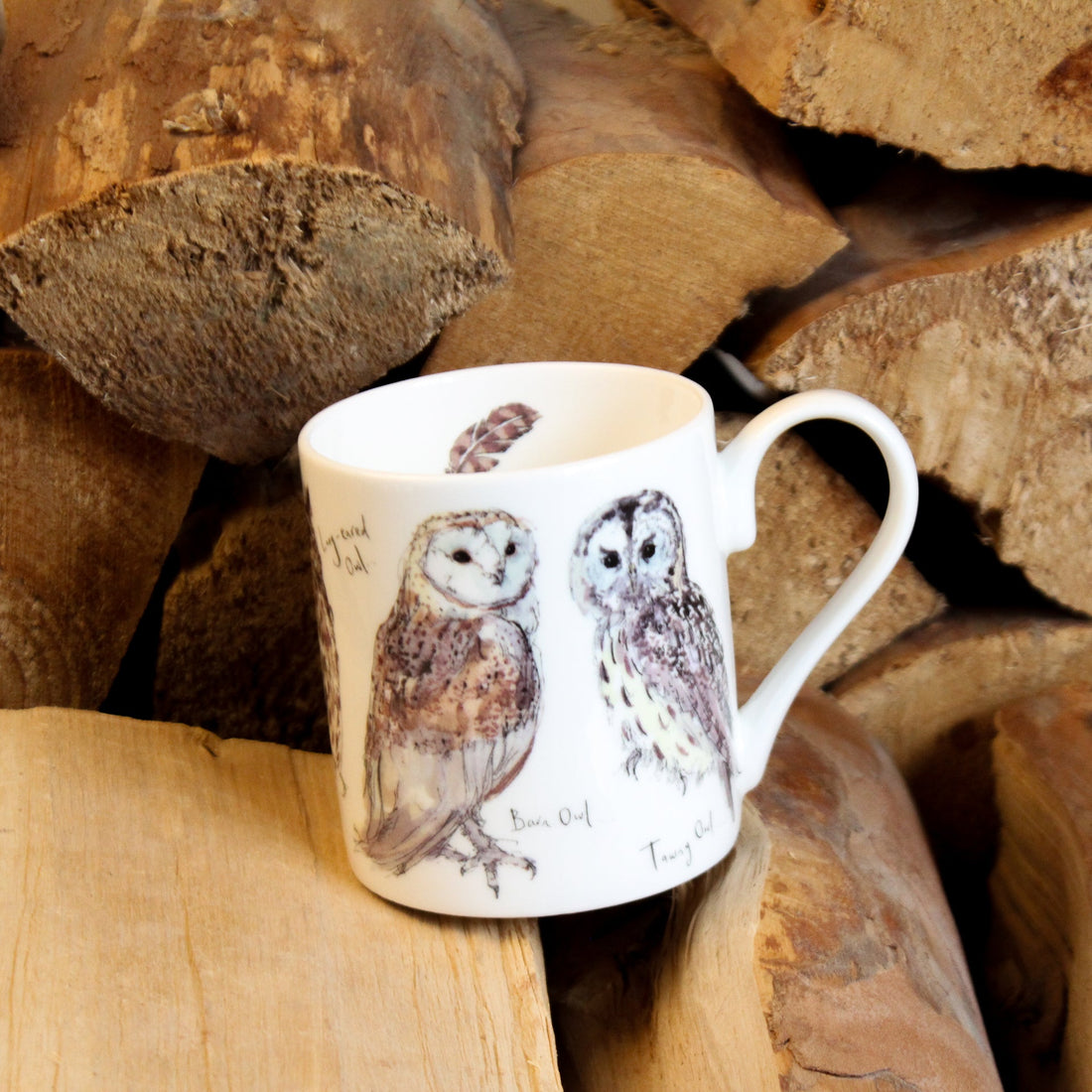 Five British Owls Mug