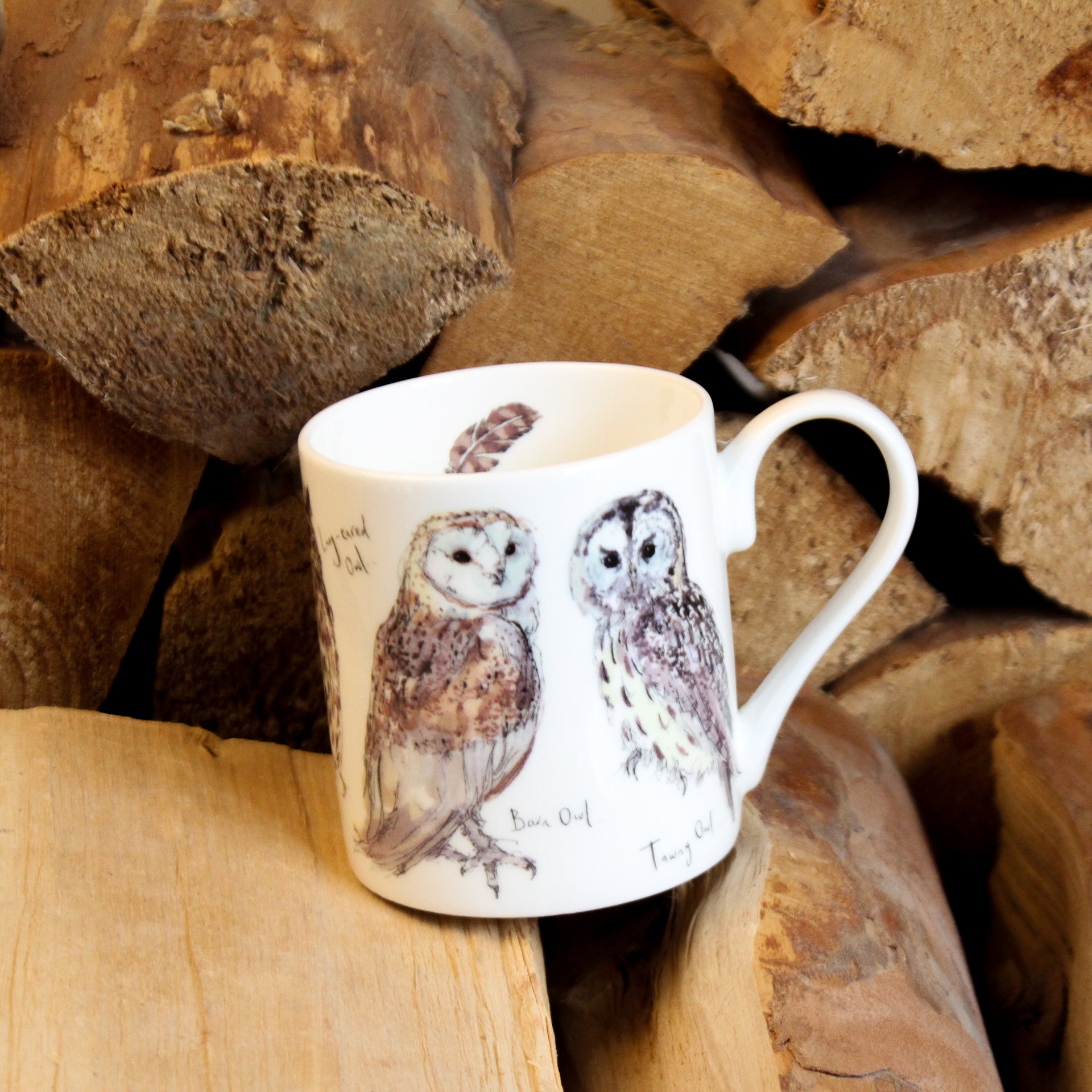 Five British Owls Mug