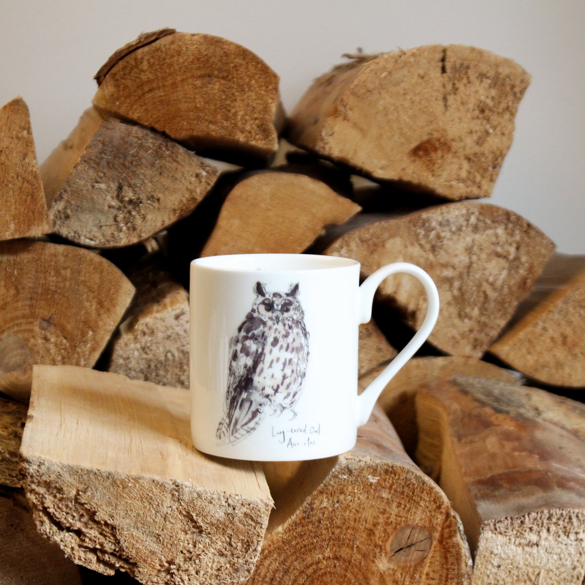Long-Eared Owl Mug