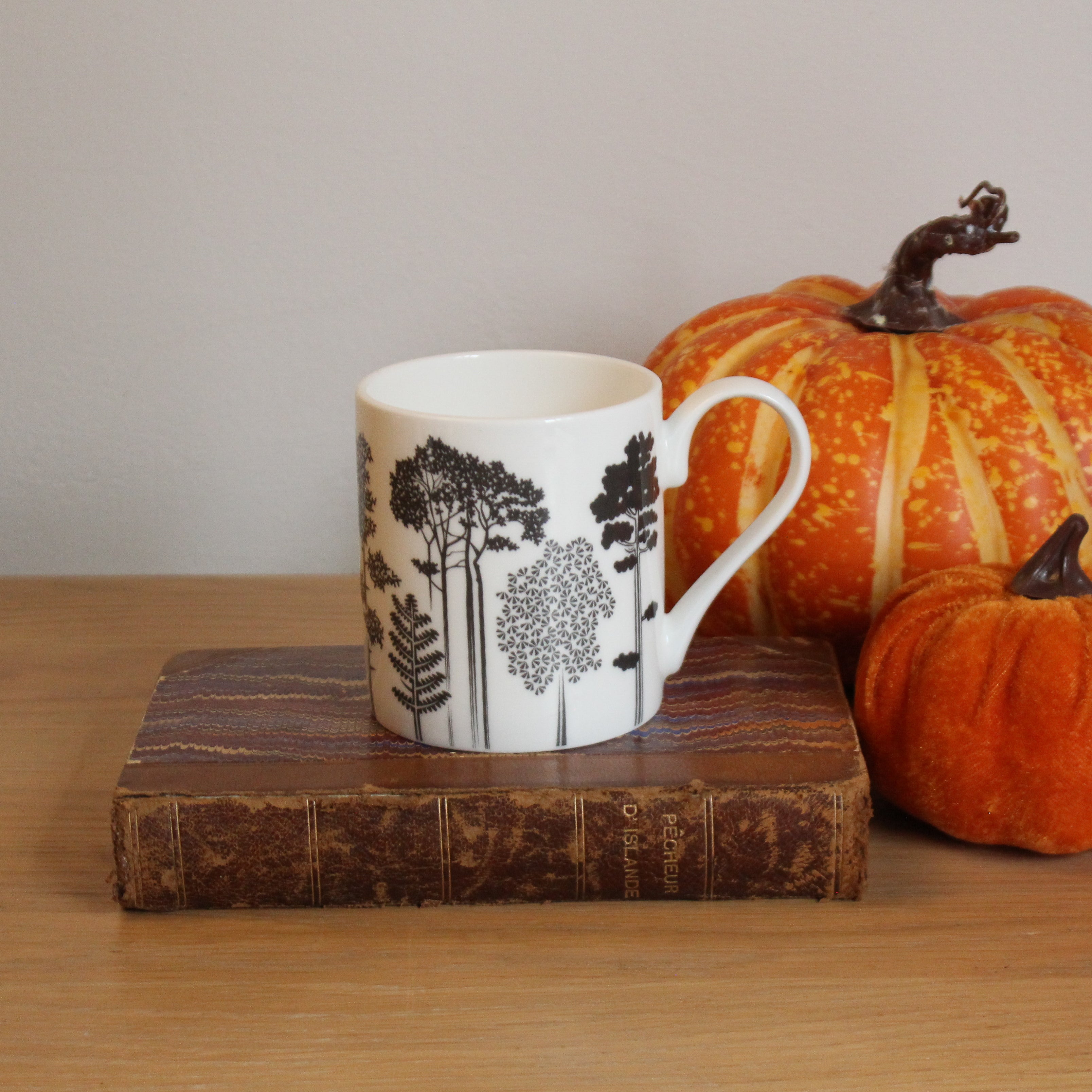 Catskills Snow Mug