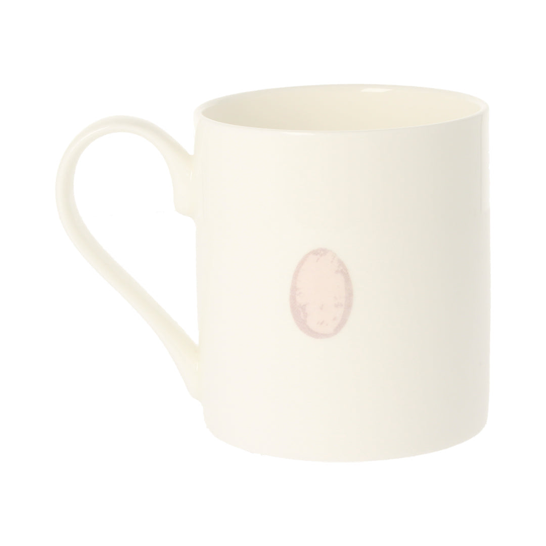 Greylag Goose Mug