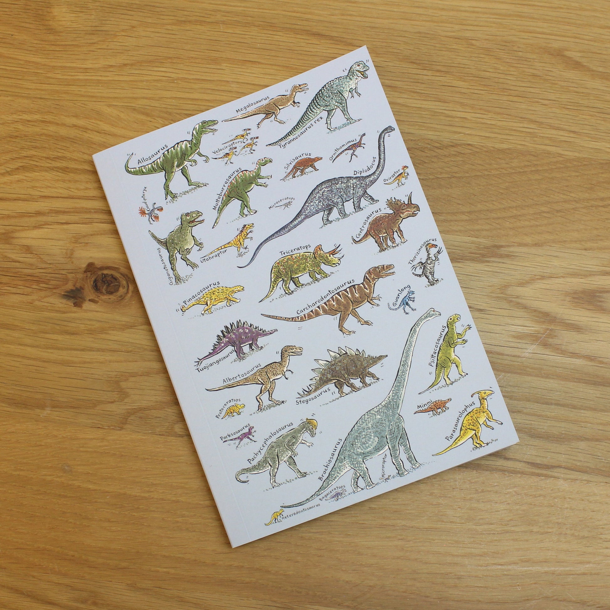 Dinosaurs A5 Softcover Notebook