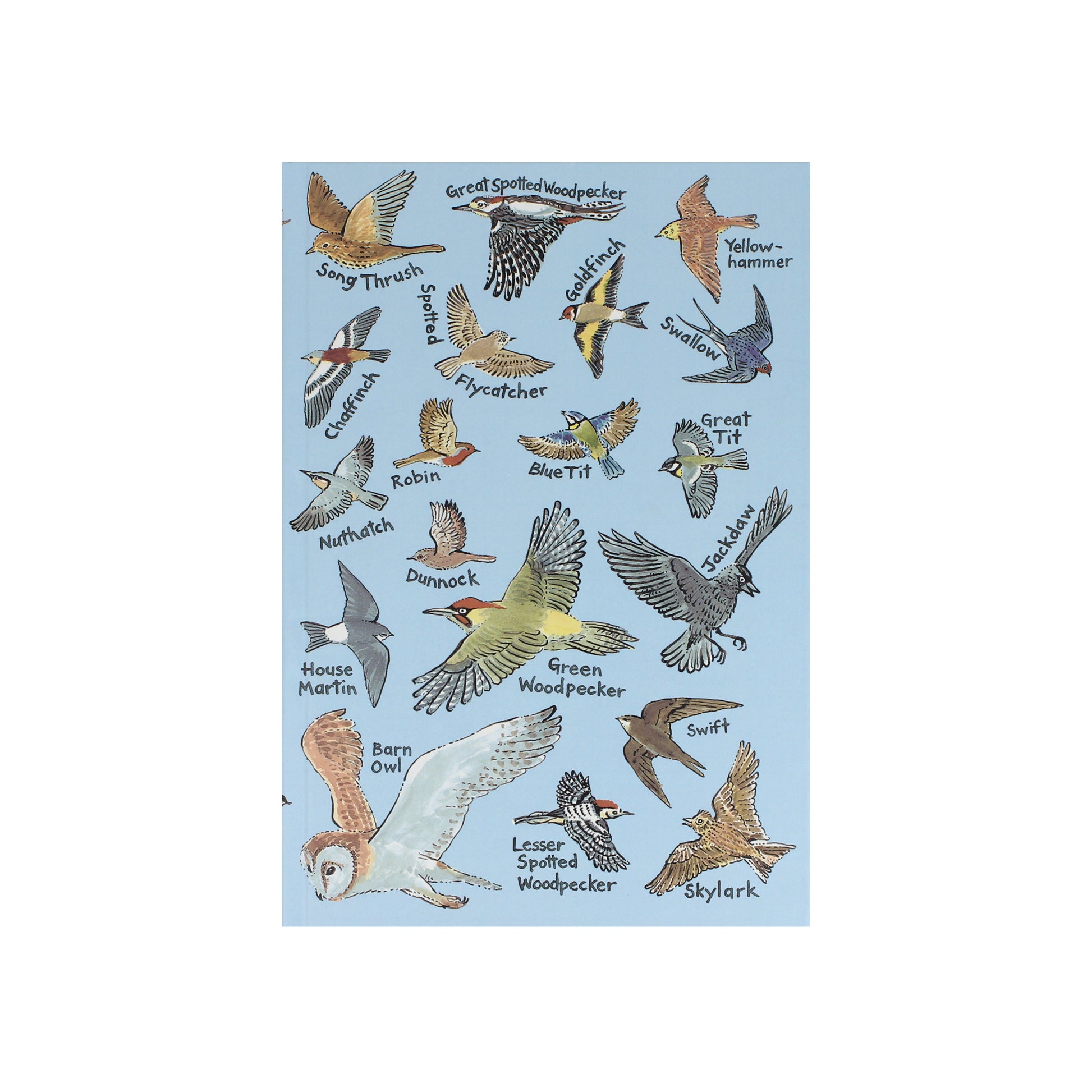 British Birds A5 Hardback Notebook