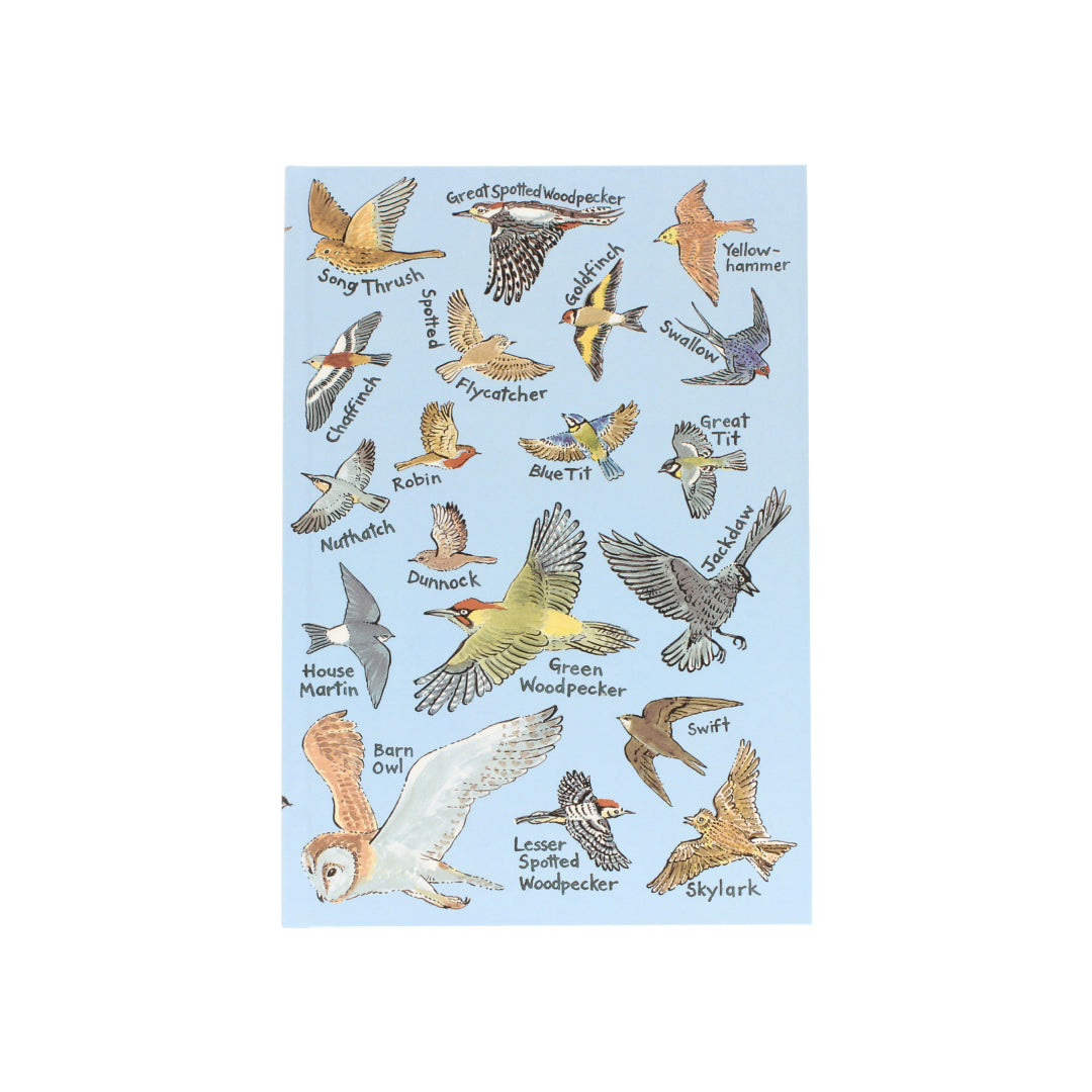 British Birds A5 Hardback Notebook
