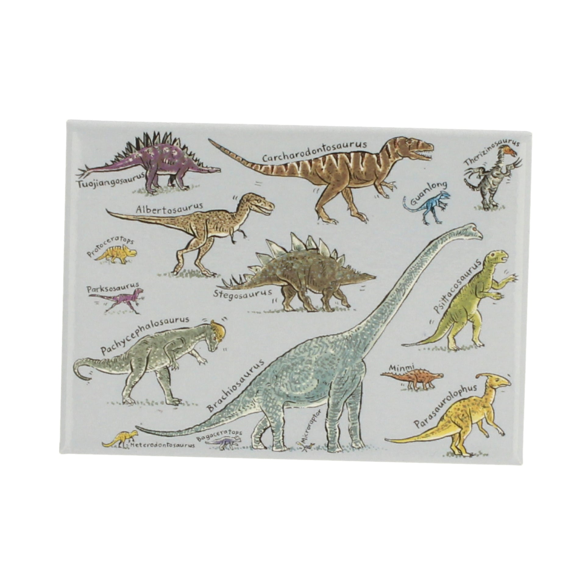 Dinosaurs Magnet - Brachiosaurus
