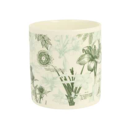 Botany Mug