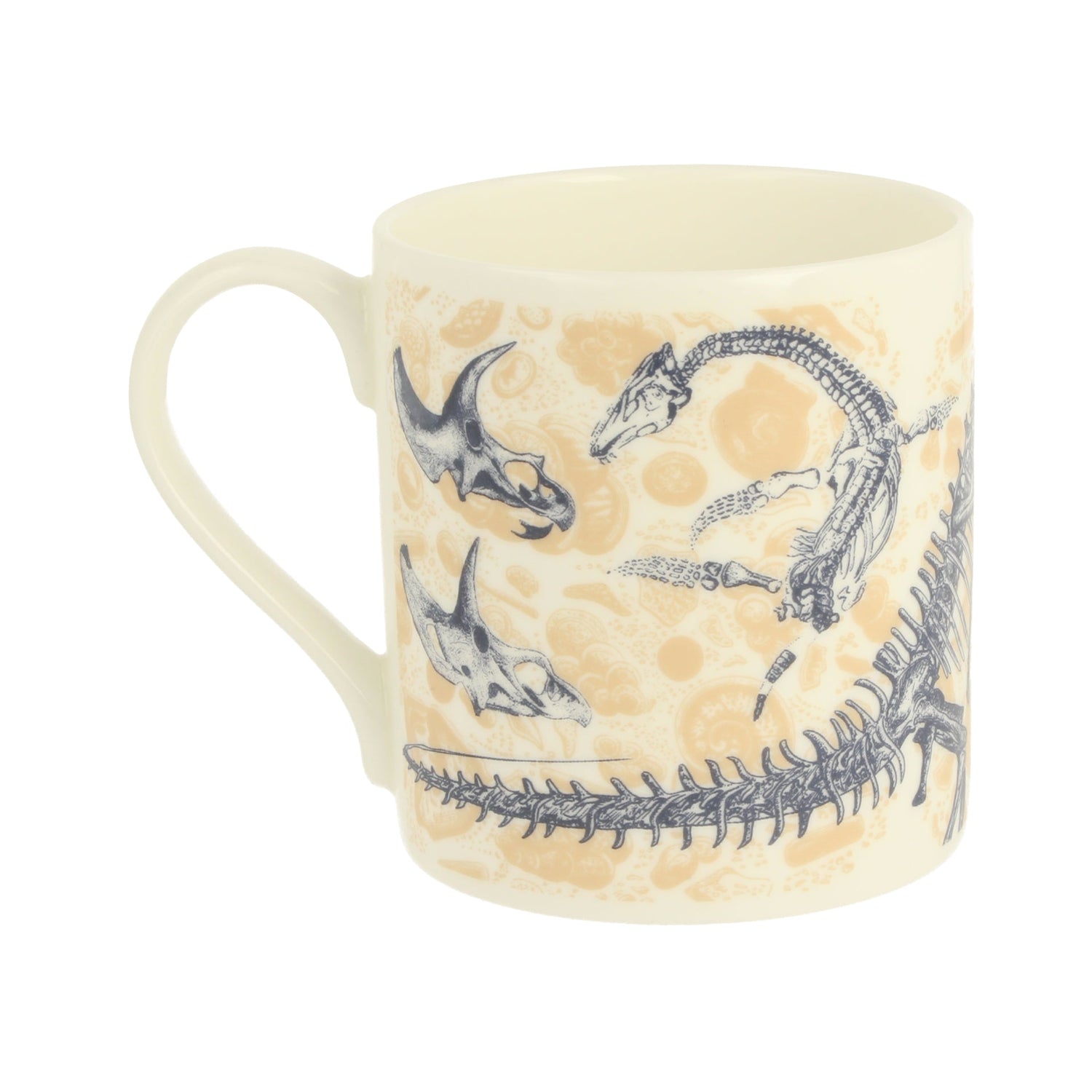 Paleontology Mug
