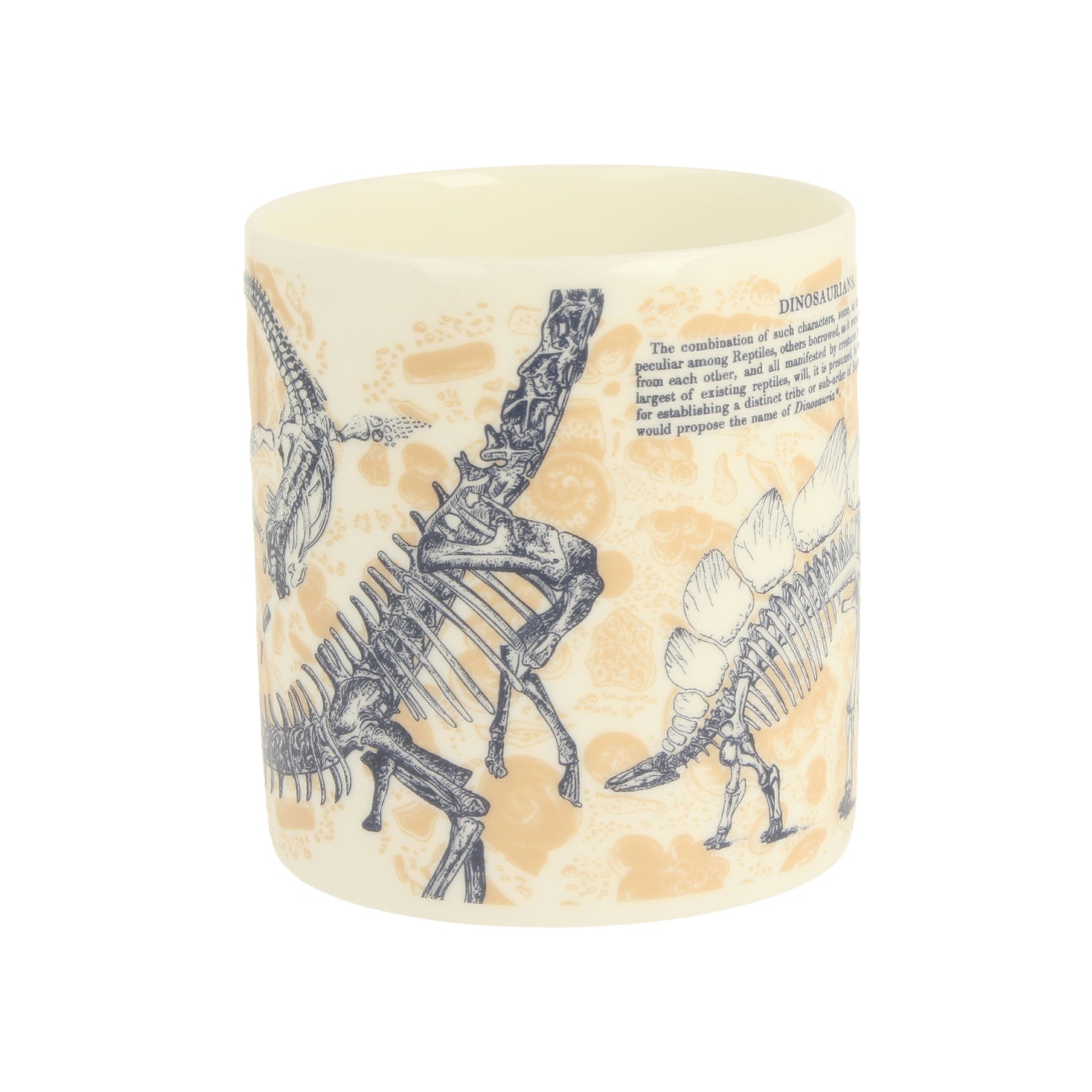 Paleontology Mug