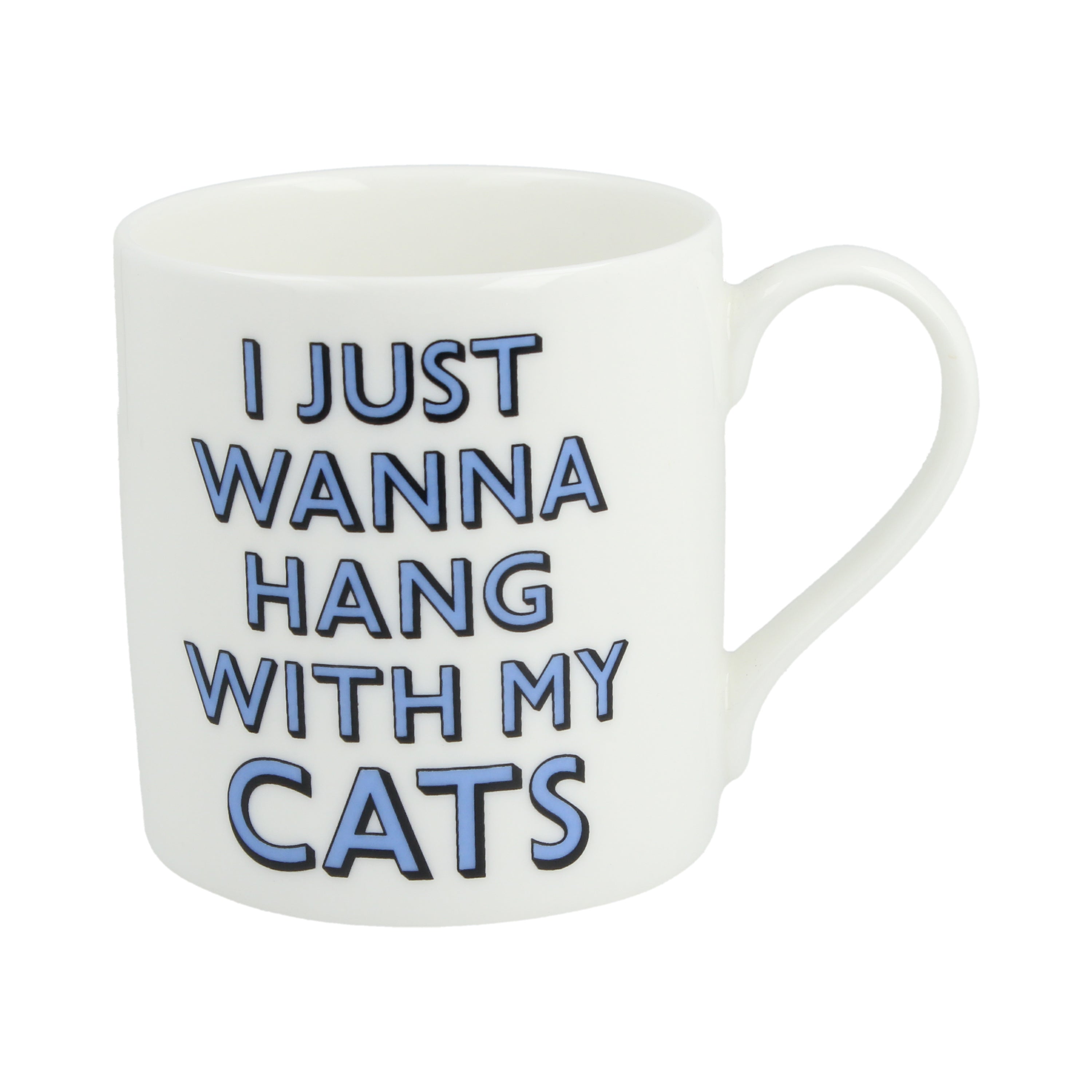 I Just Wanna Hang With My Cats Mug