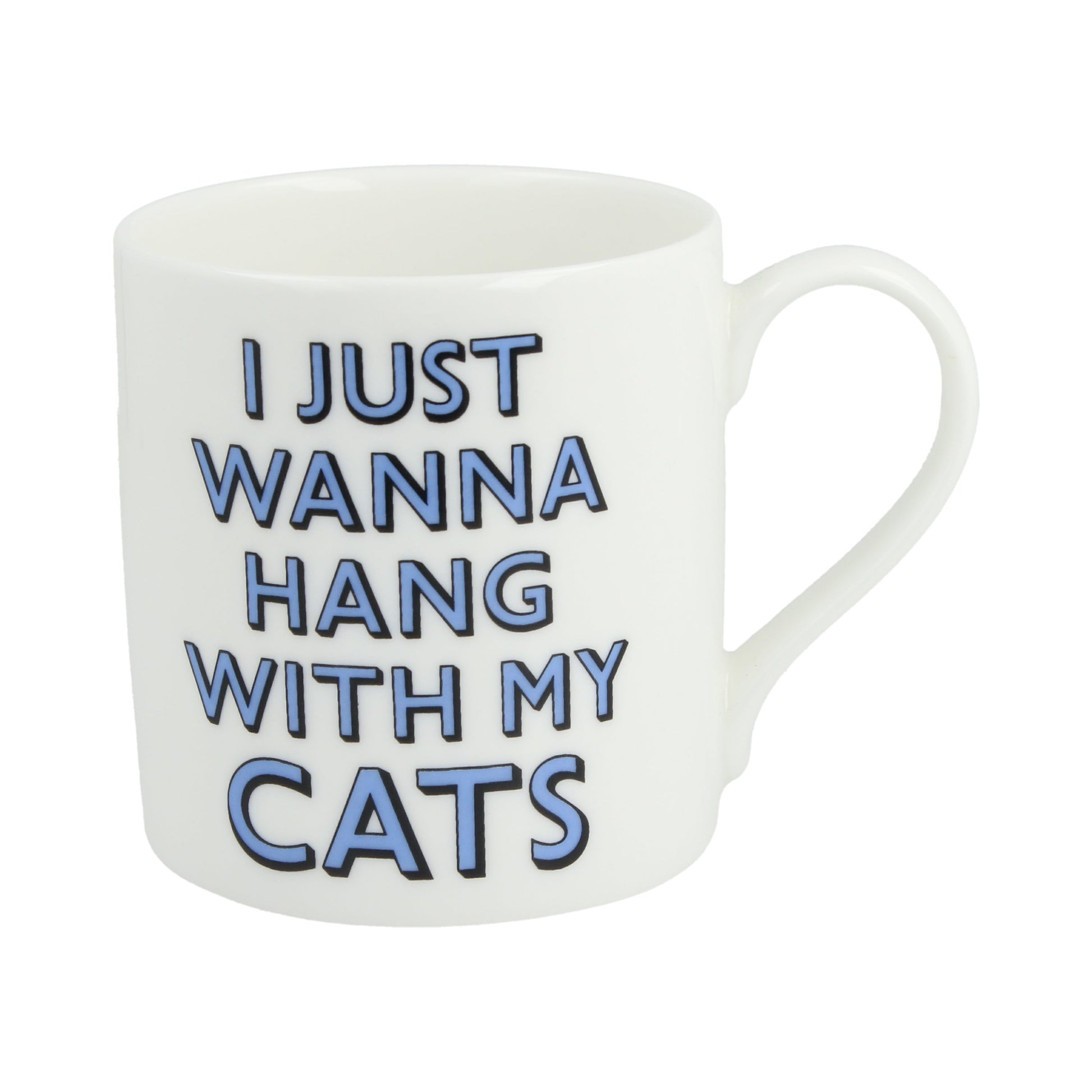 I Just Wanna Hang With My Cats Mug