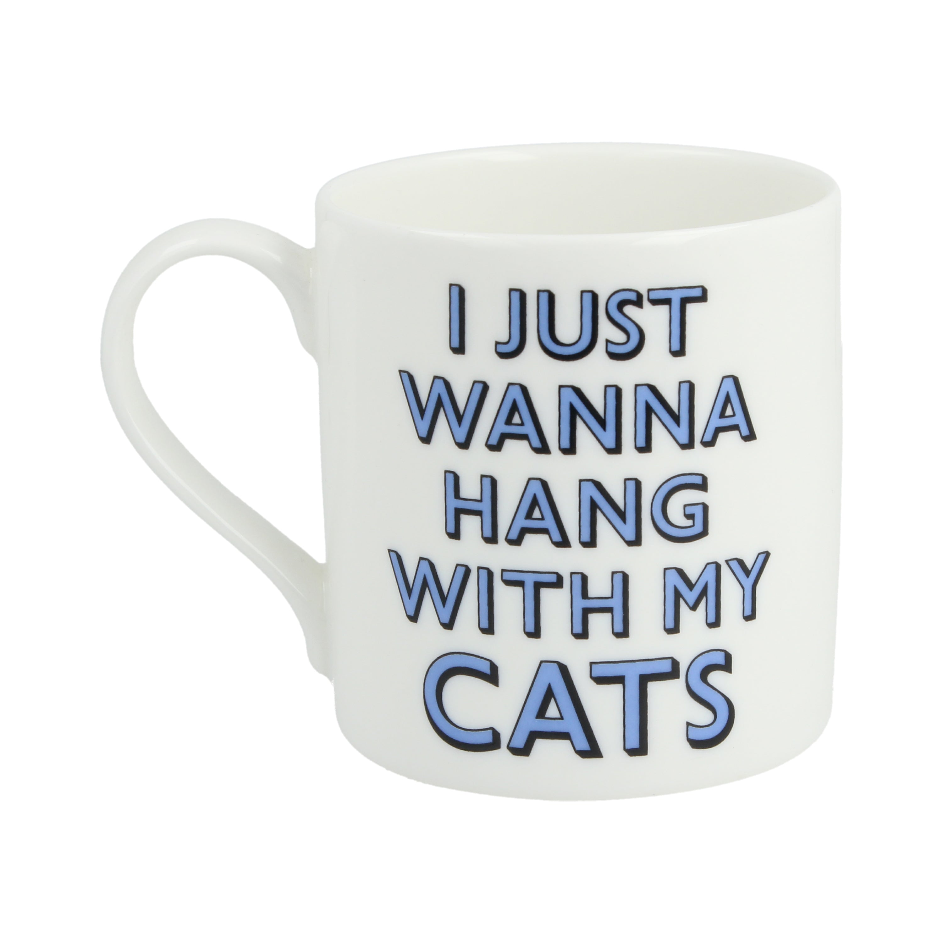 I Just Wanna Hang With My Cats Mug