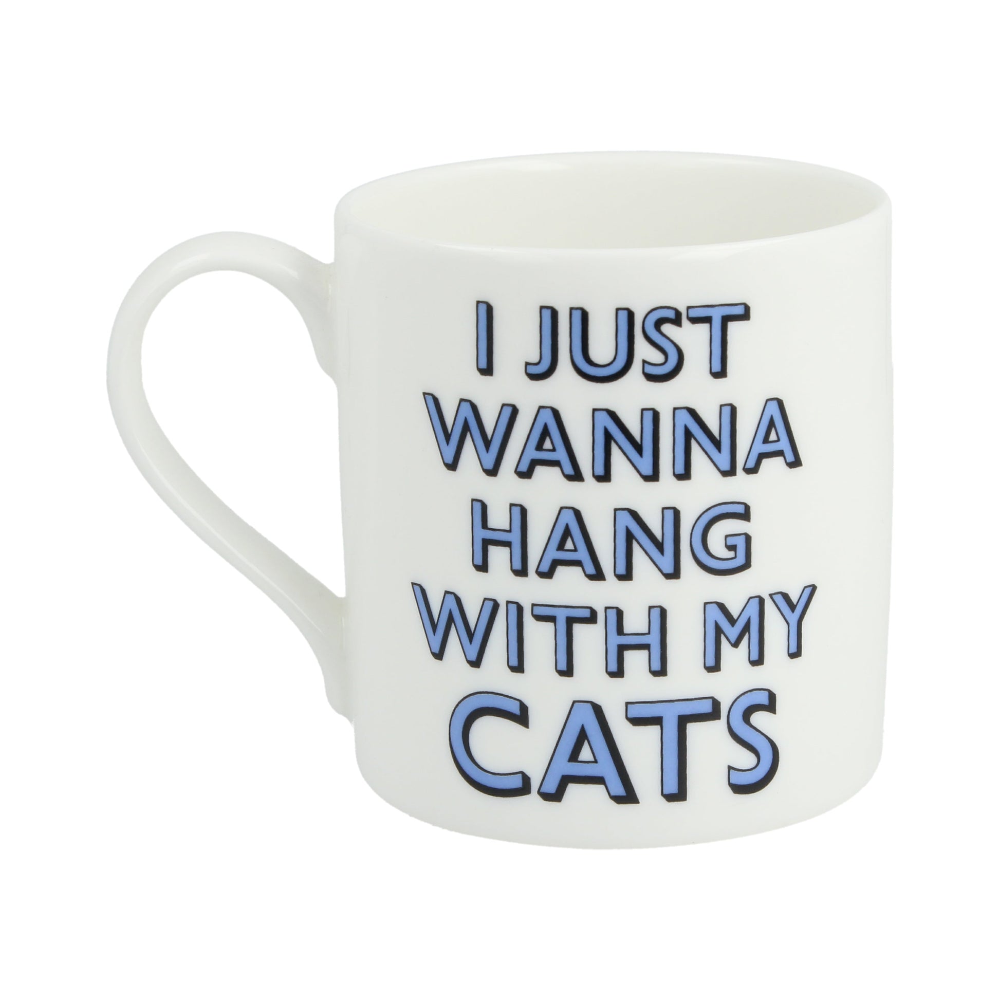 I Just Wanna Hang With My Cats Mug