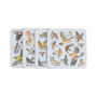 British Birds Coasters (Set of 4) - Picturemaps - Mclaggan