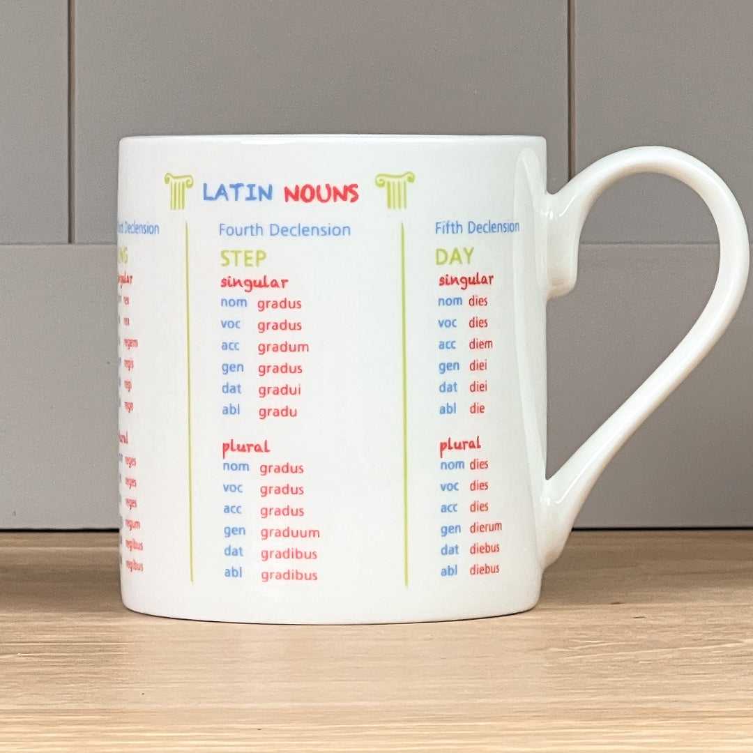 Latin Nouns Mug