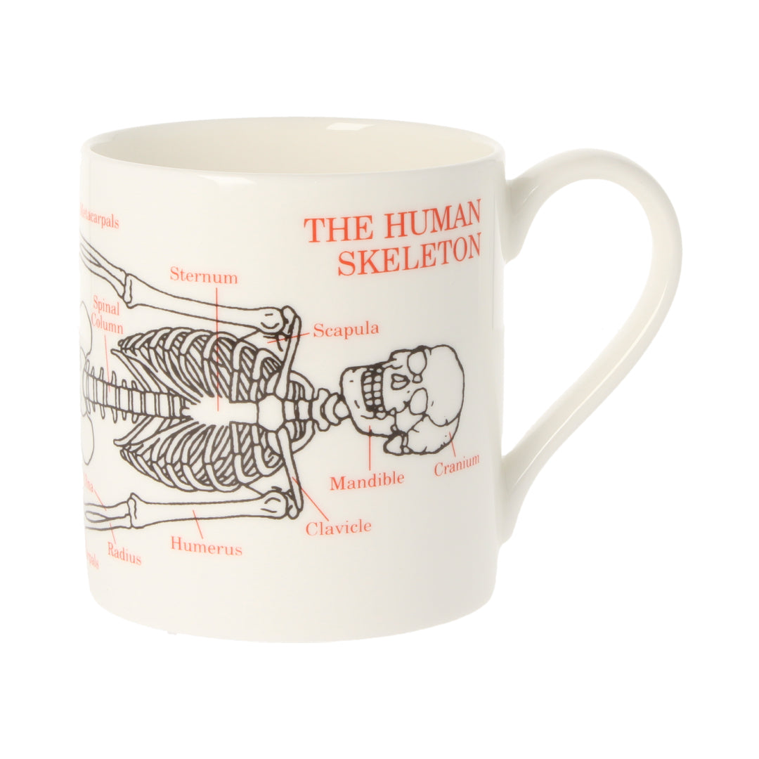 Human Skeleton Mug