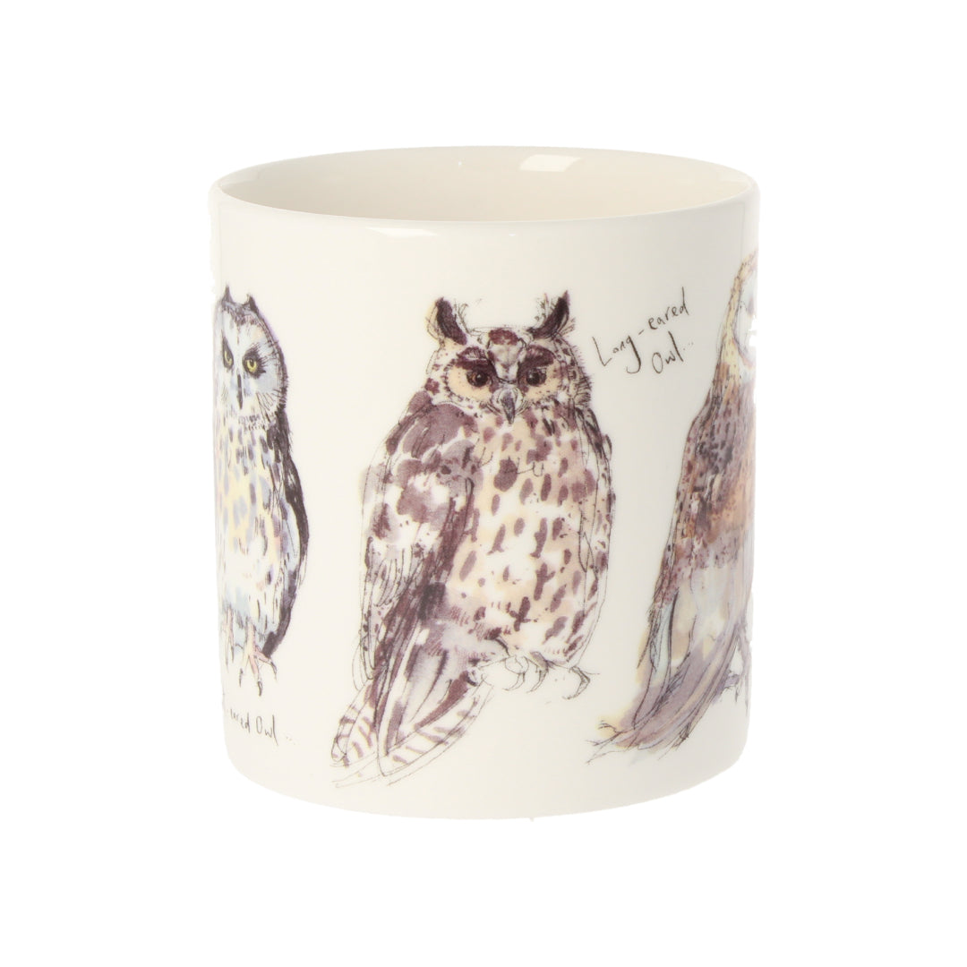 Five British Owls Mug