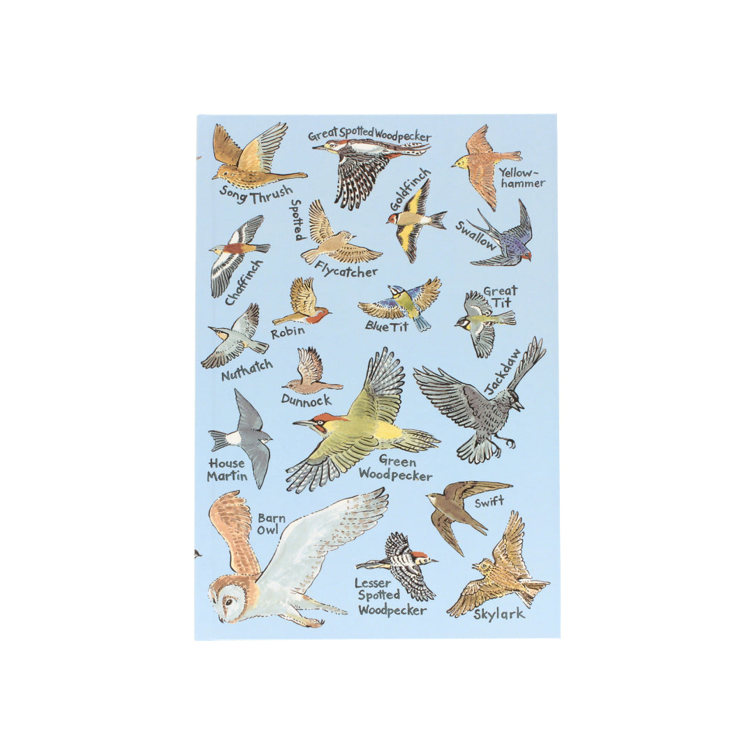 British Birds Notebook
