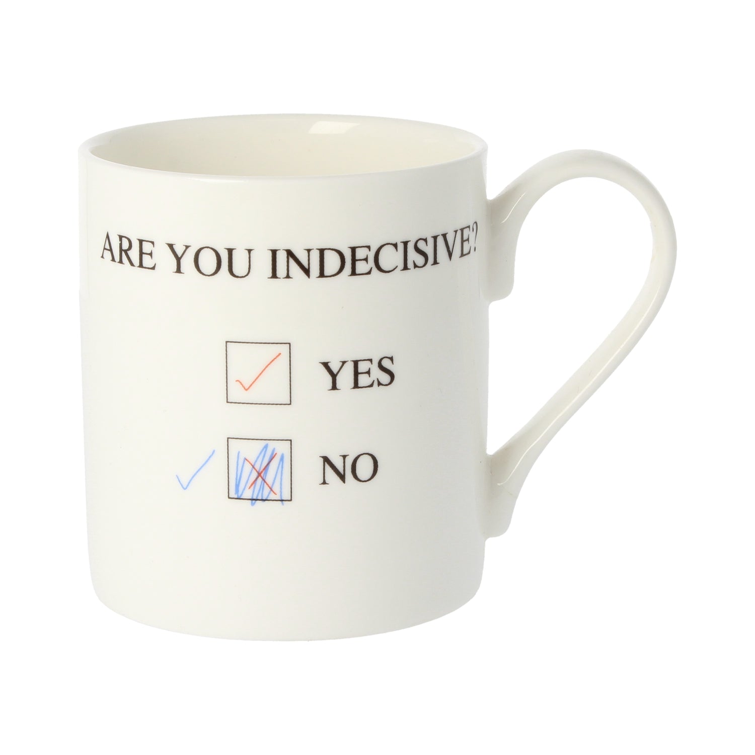 Are You Indecisive Mug
