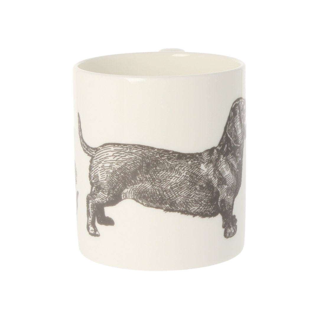 Dog &amp; Daisy Mug